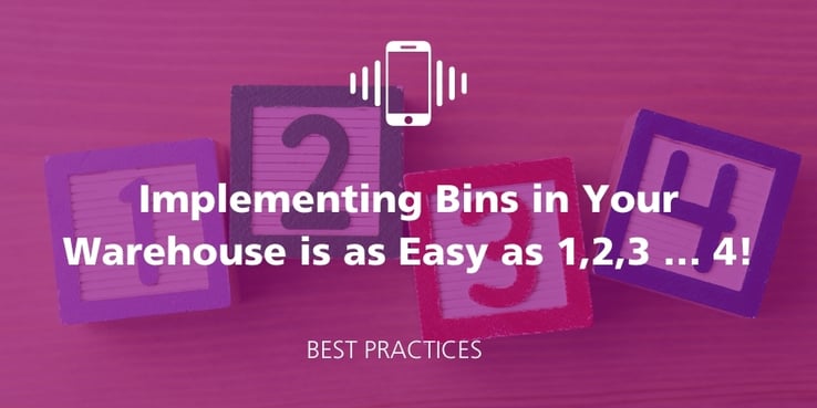 RF-SMART Implementing ERP Bins Warehouse